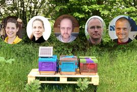 Zum Weltbienentag: Ein  Digitalisierungs-Projekt der Hochschule Niederrhein schützt die Bienen