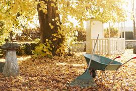 Tipps für einen tierfreundlichen Garten im Winter